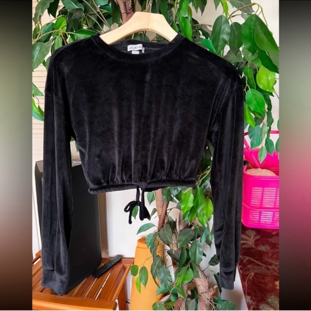 SHEIN Elegant Black Velvet Crop Top